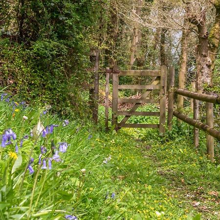 Bed and Breakfast Nutsford House Dulverton Esterno foto