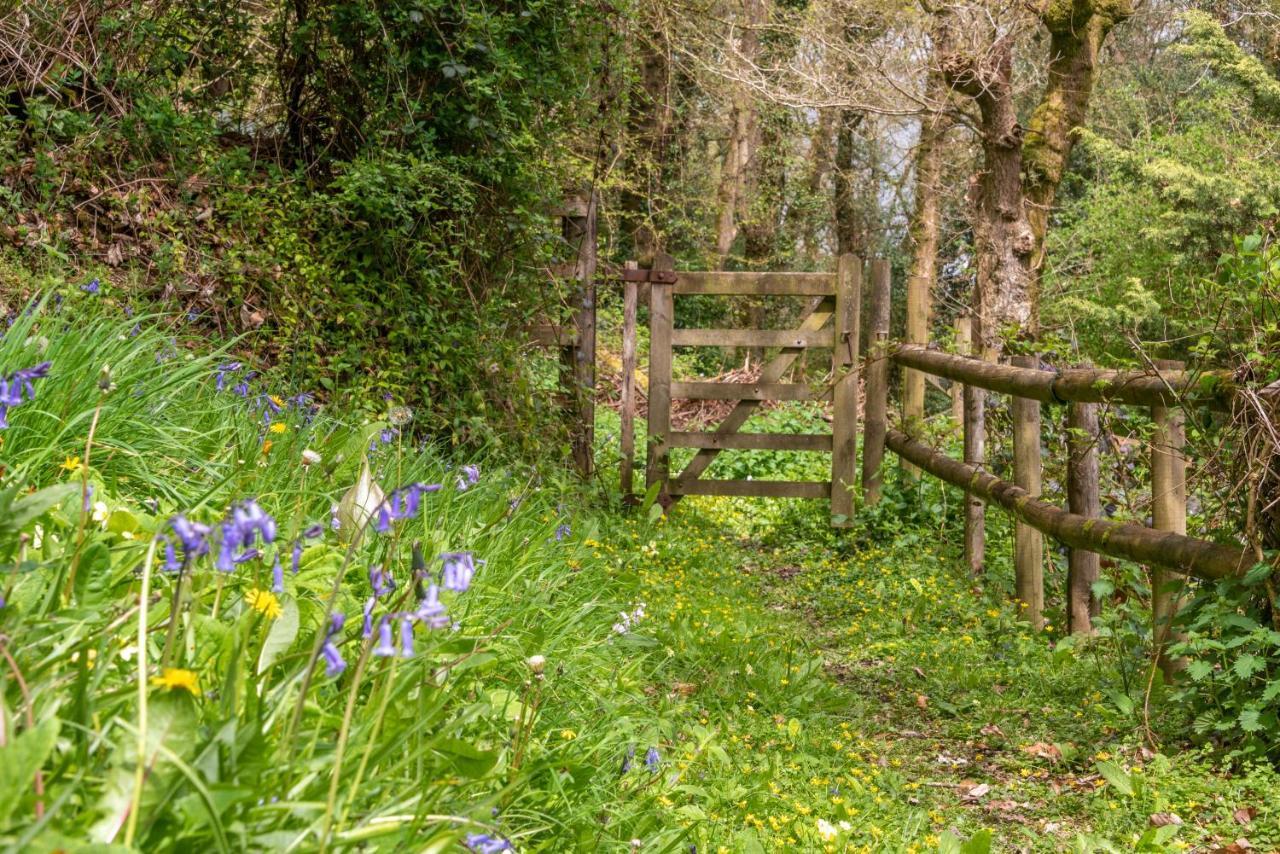 Bed and Breakfast Nutsford House Dulverton Esterno foto
