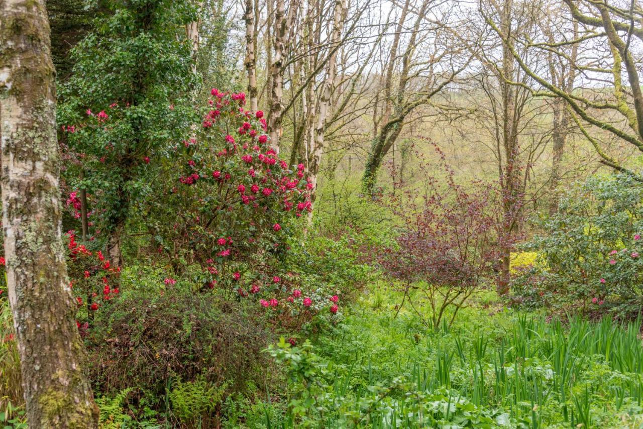 Bed and Breakfast Nutsford House Dulverton Esterno foto
