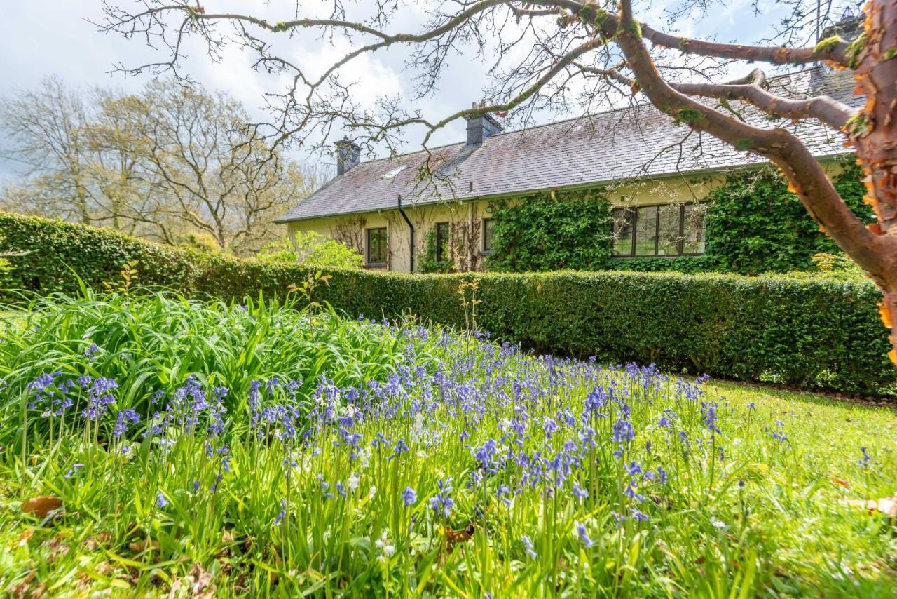 Bed and Breakfast Nutsford House Dulverton Esterno foto